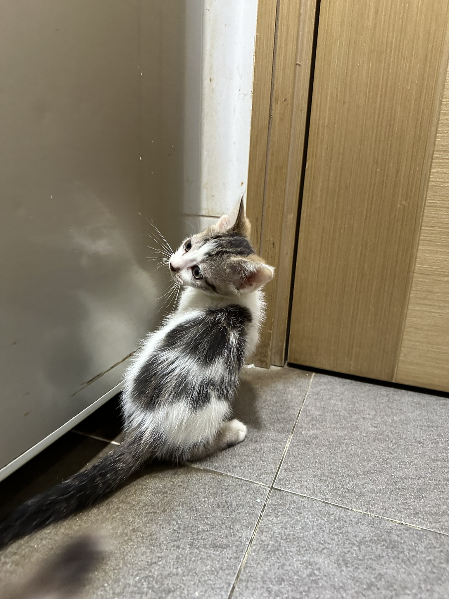 唂咕